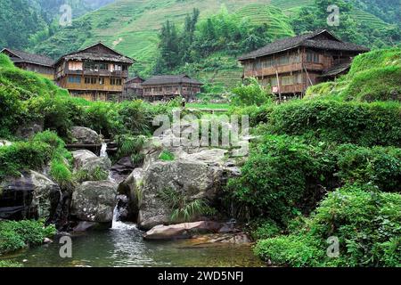 龙胜镇 (龙胜县) 中國 Longsheng Reisterrassen, Dazhai Longji Ping'an Zhuang, China; Chinesisches Bergdorf am Bach Stockfoto