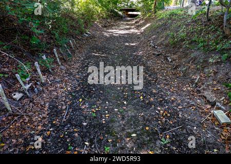 Die Panke ist trocken und trägt kein Wasser mehr, das ausgetrocknete Bett der Panke ist sichtbar, Panketal, 10/08/2022 Stockfoto