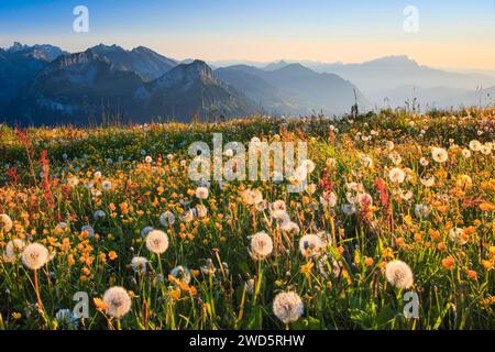 Blick von Fronalpstock mit Titlis, Brisen Risetenstock, Schwalm, Niederbauen Chulm und Pilatus (von links nach rechts) mit Zentralschweizer Alpen Stockfoto