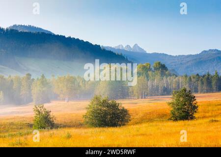 Blick über das Hochmoor Rothenthurm im Herbst mit den Mythen Berggipfeln im Hintergrund, Kanton Schyz, Schweiz Stockfoto