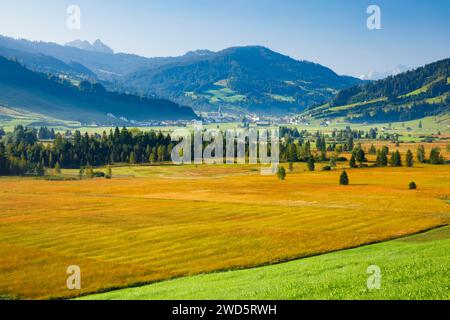 Blick über das Hochmoor Rothenthurm mit dem Dorf Rothenthurm im Hintergrund, Schyz, Schweiz Stockfoto