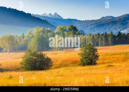 Blick über das Hochmoor Rothenthurm im Herbst mit den Mythen Berggipfeln im Hintergrund, Kanton Schyz, Schweiz Stockfoto