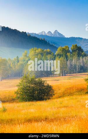 Blick über das Hochmoor Rothenthurm im Herbst mit den Mythen Berggipfeln im Hintergrund, Kanton Schyz, Schweiz Stockfoto