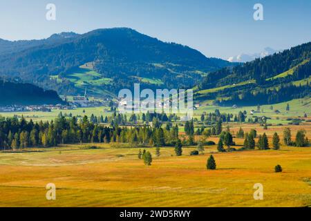 Blick über das Hochmoor Rothenthurm mit dem Dorf Rothenthurm im Hintergrund, Schyz, Schweiz Stockfoto