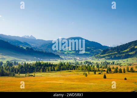 Blick über das Hochmoor Rothenthurm mit dem Dorf Rothenthurm im Hintergrund, Schyz, Schweiz Stockfoto