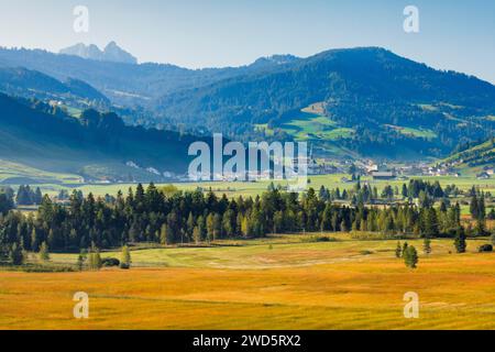 Blick über das Hochmoor Rothenthurm mit dem Dorf Rothenthurm im Hintergrund, Schyz, Schweiz Stockfoto