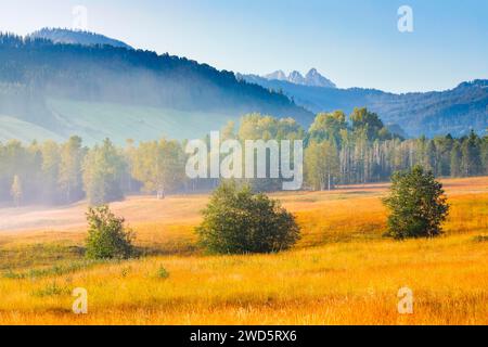 Blick über das Hochmoor Rothenthurm im Herbst mit den Mythen Berggipfeln im Hintergrund, Kanton Schyz, Schweiz Stockfoto