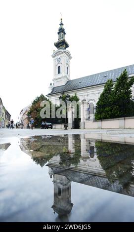 Die St. Georgs Kathedrale in Novi Sad, Serbien. Stockfoto