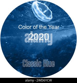 Klassisches Blau des Jahres 2020. Hauptfarbtrend. Natürlicher Meeresgrund Stockfoto