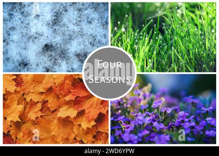 Four Seasons Nature Collage: Winter, Frühling, Sommer, Herbst. Mehrfarbiges buntes Konzept der Wandelbarkeit der Jahreszeit Stockfoto