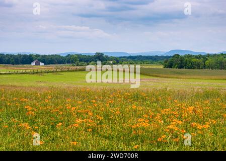 Gettysburg National Military Park, amerikanisches Schlachtfeld im Amerikanischen Bürgerkrieg, in Gettysburg, Pennsylvania, USA Stockfoto