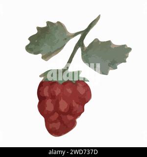 Vektor-isolierte Illustration einer Himbeere auf weißem Hintergrund. Stock Vektor