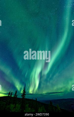 Eine beeindruckende aurora Borealis, die einen Nachthimmel in Dawson City, Yukon Territory, Kanada, erleuchtet Stockfoto