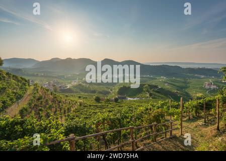 Prosecco Hills, Weinberge Panoramablick am Morgen. Unesco-Weltkulturerbe. Valdobbiadene, Provinz Treviso, Region Venetien, Italien, Europa Stockfoto