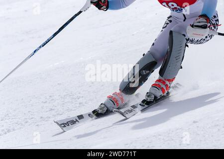 Aus nächster Nähe sehen Sie Skiläufer auf einer alpinen Skipiste. International Ski Federation Championship, Russischer Alpinski Stockfoto