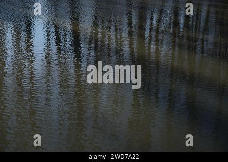 Ein Fluss mit üppigen grünen Bäumen, die sich auf seiner Oberfläche spiegeln Stockfoto