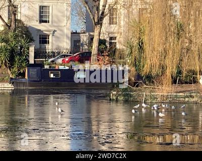 Vögel auf dem gefrorenen Regents Canal in Little Venice, London. Schnee und Eis werden durch Wind und Regen ersetzt, wenn mildere Luft nach Großbritannien zurückkehrt. Bilddatum: Freitag, 19. Januar 2024. Stockfoto