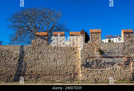 Die Konstantinopelischen Verteidigungsmauern Und Bäume Mit Blue Sky Istanbul Türkei Stockfoto