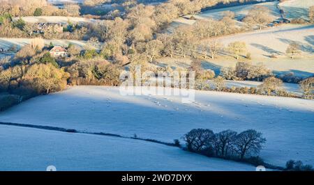 Brighton UK 19. Januar 2024 - Ein frostiger Morgen über dem Weald unterhalb des Devils Dyke entlang des South Downs Way nördlich von Brighton, aber mildes Wetter wird für die nächsten Tage in Großbritannien prognostiziert: Credit Simon Dack / Alamy Live News Stockfoto