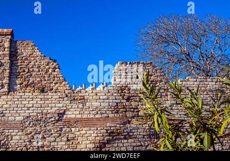 Die Konstantinopelischen Verteidigungsmauern Und Bäume Mit Blue Sky Istanbul Türkei Stockfoto