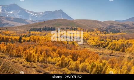 A scenic view of vibrant golden trees stand against a majestic mountain backdrop Stockfoto
