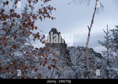 Majestätischer schneebedeckter Berg umgeben von Bäumen Stockfoto