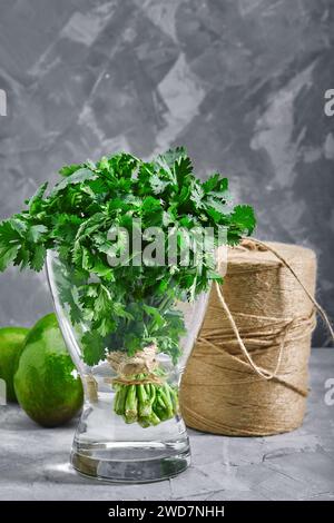 Ein Haufen frischer Koriander in einer Vase mit Wasser. Grauer Hintergrund, Foto für Lieferstellen. Stockfoto