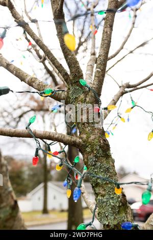 Lichterkette im Winter um einen Baum gewickelt Stockfoto
