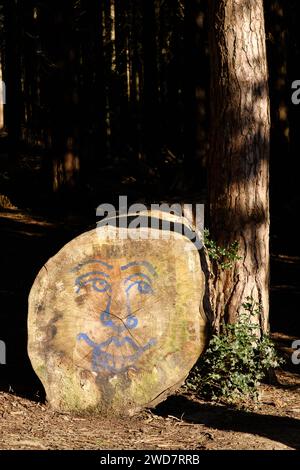 Britisches Waldland im Winter - Dowdeswell Woods, Cheltenham, Gloucestershire Stockfoto