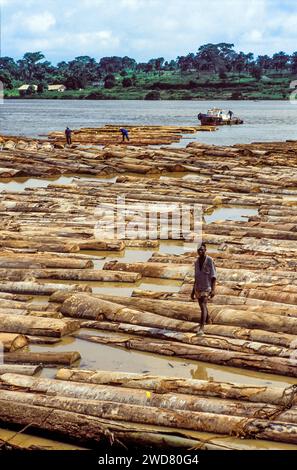 Elfenbeinküste, Abidjan; Holzstücke in der Bucht von Banco warten auf den Transport per Schiff. Ein Wächter geht auf den Baumstämmen. Stockfoto