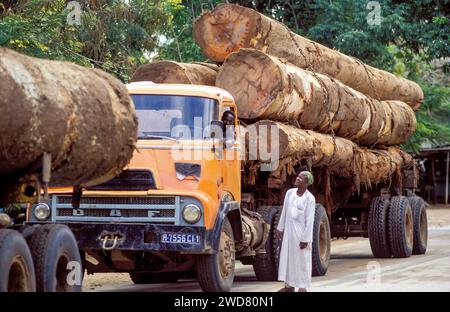 Elfenbeinküste, Abidjan; LKW, der Hartholzstämme zum Hafen transportiert und exportiert. Stockfoto