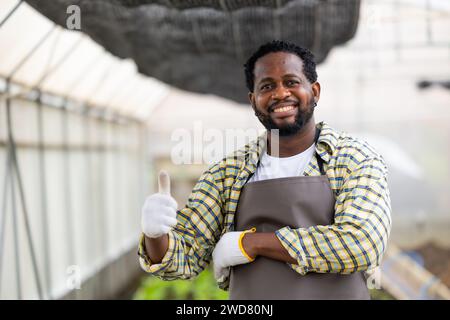 Glücklicher afrikanischer männlicher Farmer, der Porträt in Gewächshauslandwirtschaft steht, Kleinunternehmer Stockfoto