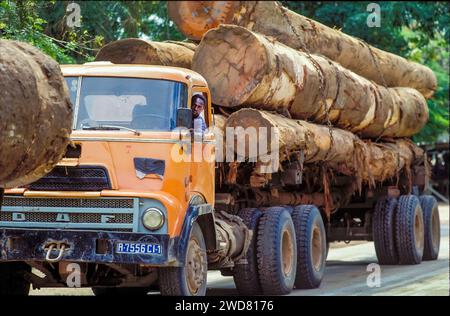 Elfenbeinküste, Abidjan; LKW, der Hartholzstämme zum Hafen transportiert und exportiert. Stockfoto
