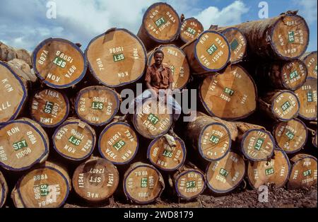 Elfenbeinküste, Abidjan; Mann, der auf einem Haufen Hartholzstämme sitzt. Stockfoto