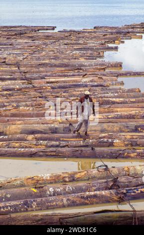 Elfenbeinküste, Abidjan; Holzstücke in der Bucht von Banco warten auf den Transport per Schiff. Ein Wächter geht auf den Baumstämmen. Stockfoto