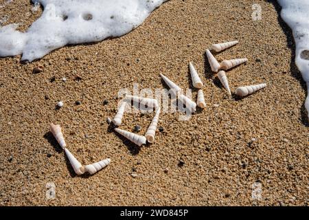 Liebe in der Brandung: „Liebe“ aus weißen Muscheln, umhüllt von Meeresschaum, eine Küstenromantik, die in einem flüchtigen Moment festgehalten wird Stockfoto