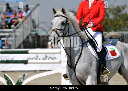 Ein wunderschönes weißes Pferd, das an einem Reitwettbewerb teilnimmt. Pferdesport verwendet Pferde als Hauptteil des Sports. Stockfoto