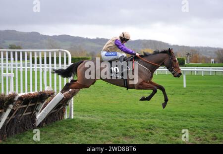 Pferderennen auf der Cheltenham Racecourse, Prestbury Park bei der November-Sitzung (Sonntag). Rennen 1 Das Maiden Hürdenrennen Mallardjewellers.com - Champio Stockfoto