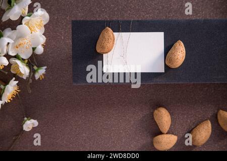 Minimale Zusammensetzung aus Mandelblüten und Mandeln. Grußkartenkonzept für festliche Momente im Frühling, ostern, Muttertag. Stockfoto