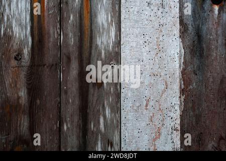 Detail der alten Holzwand der Hütte mit abgenutzter Farbe und Holzwürmern Stockfoto