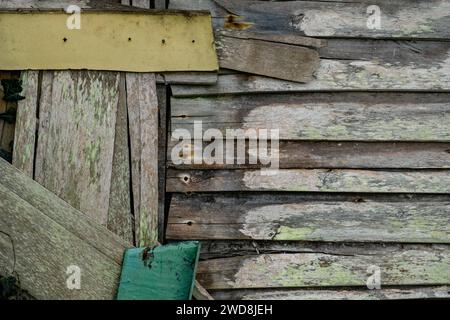 Detail der alten, bescheidenen Hüttenwand aus recycelten Holzdielen mit abgenutzter Farbe Stockfoto