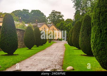 Saintfield, County Down Northern Ireland, 17. September 2023 – von Yew gesäumter Weg zum Rowallane House Café in Rowallane Gardens Saintfield Stockfoto