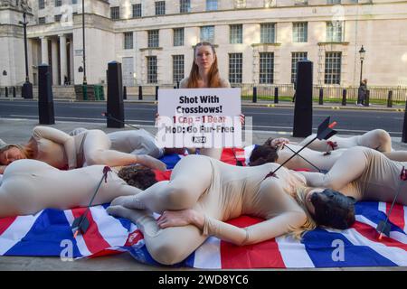 London, Großbritannien. Januar 2024. PETA-Aktivisten inszenieren einen Todesfall auf Union Jacks außerhalb des Verteidigungsministeriums, um gegen die Verwendung von echtem Bärenfell in den Kappen der Königsgarde zu protestieren. Die Tierschutzgruppe erklärt, dass es nur einen Bären braucht, um eine Kappe zu machen, und fordert das MOD auf, auf humanere Kunstpelze umzusteigen. Quelle: Vuk Valcic/Alamy Live News Stockfoto