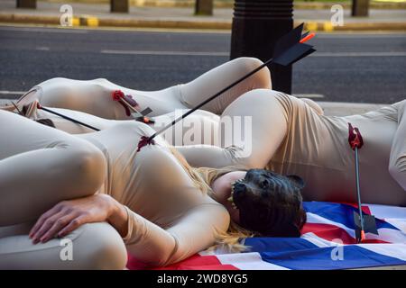 London, Großbritannien. Januar 2024. PETA-Aktivisten inszenieren einen Todesfall auf Union Jacks außerhalb des Verteidigungsministeriums, um gegen die Verwendung von echtem Bärenfell in den Kappen der Königsgarde zu protestieren. Die Tierschutzgruppe erklärt, dass es nur einen Bären braucht, um eine Kappe zu machen, und fordert das MOD auf, auf humanere Kunstpelze umzusteigen. Quelle: Vuk Valcic/Alamy Live News Stockfoto