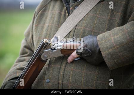 Verschiedene Bilder von arbeitenden Guindogs an einem Drehtag Stockfoto