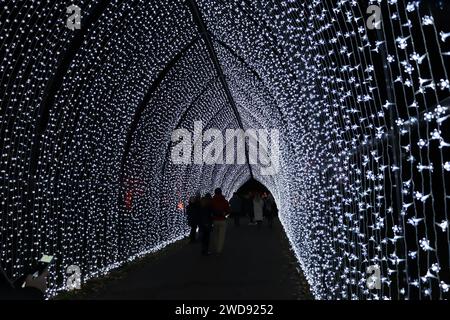 Weihnachten in Kew Gardens Cathedral of Light. Stockfoto