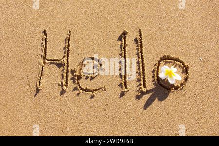 Das Wort Hallo steht im Sand am Strand Stockfoto