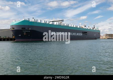 Tamesis ein Wallenius Wilhelmsen Roll On Roll Off (RoRo) Vehicle Transporter Ship, das in Southampton Water an der Südküste Englands vertäut ist Stockfoto