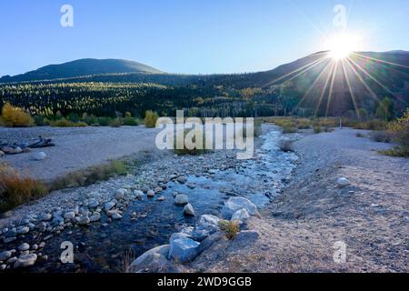 Irgendwo im Rocky Mountain National Park scheint der Sonnenuntergang auf einem kleinen Bach. Aspen verändert die Farbe im Wald. Stockfoto