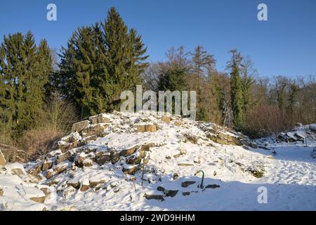 Winter, Freigelände, Landschaftsgarten Nördliche Kalkalpen, Botanischer Garten, Lichterfelde, Steglitz-Zehlendorf, Berlin, Deutschland Stockfoto